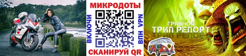 закладка Кисловодск Галлюциногенные грибы Cubensis