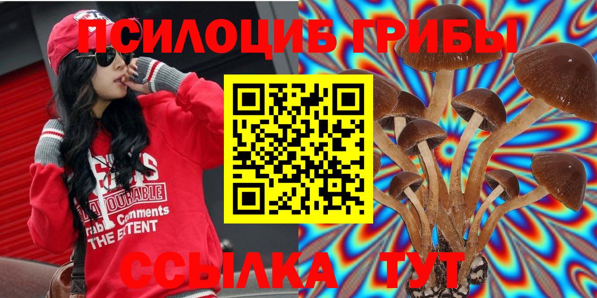 Галлюциногенные грибы GOLDEN TEACHER Кисловодск